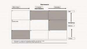 The Nine Box Performance/Potential Grid or Matrix